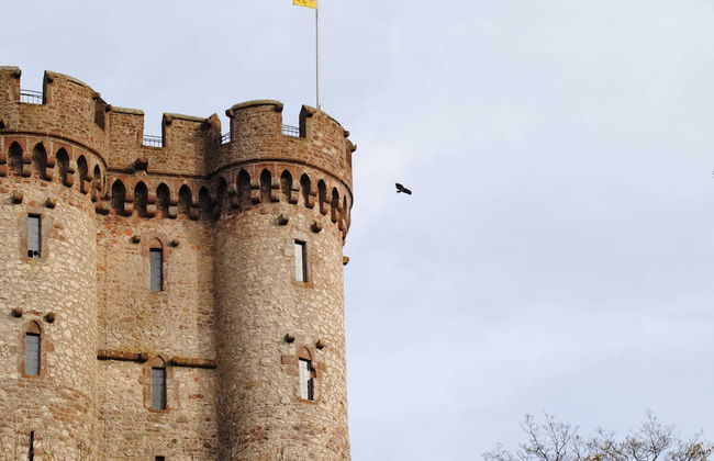 Delightful Villa in Gerolstein With Private Garden - Foto 32