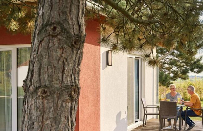 WaldResort - Am Nationalpark Hainich - Foto 10