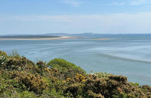 Elm Rise Place - Photo 8