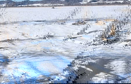 Villa Alpenpanorama - Foto 53