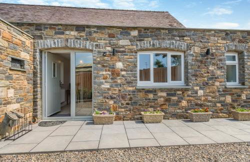 Llwyncelyn Farmhouse - Foto 38