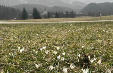 Haus am Berg, Apartment 954 Hm, 82493 Klais - Foto 36