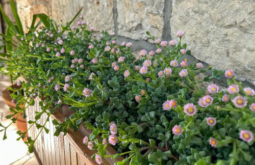 Holiday Home Leonida - Photo 30