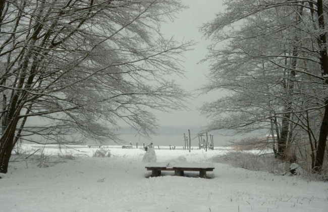 on Grimnitzsee With Lake Views - Foto 17