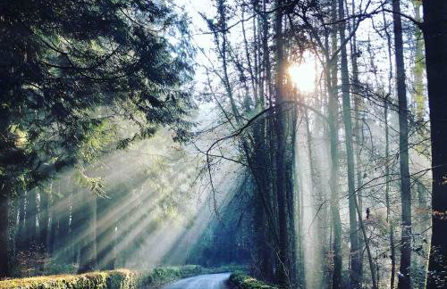 Hilly Haven & Luxury Wagon in the Forest of Dean - Foto 41