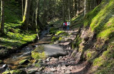 Le petit Kichon - Foto 43