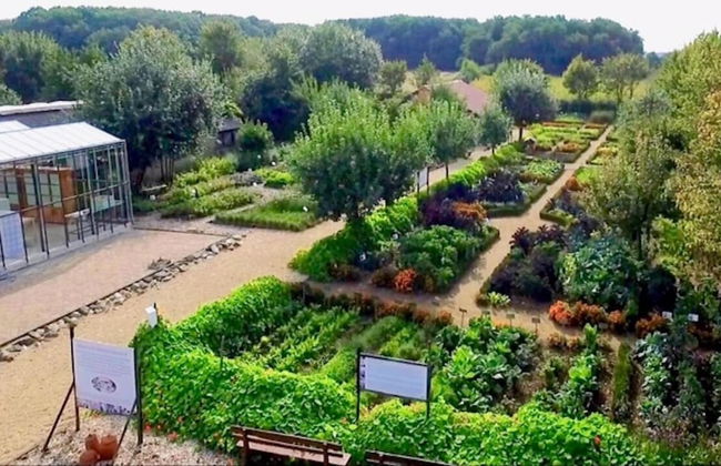 Apartment in Netherlands Near Dusseldorf - Foto 33