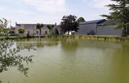 Gîte Les Guernazelles - Foto 27