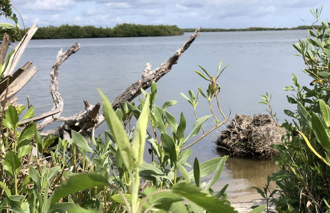 Zen Beach Retreat - Foto 78