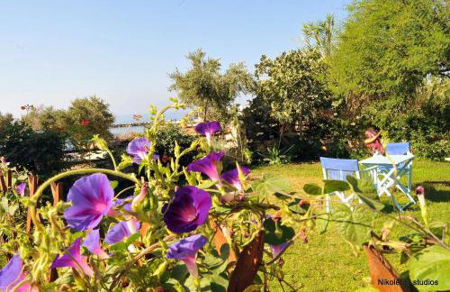 Nikoleta's Studios - Photo 35