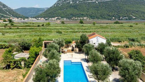 Natur Olive House Ston - Foto 4