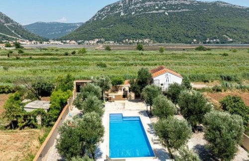 Natur Olive House Ston - Foto 4