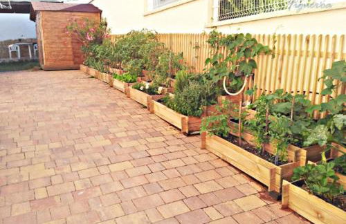 Casa Rural Figueroa - Foto 59