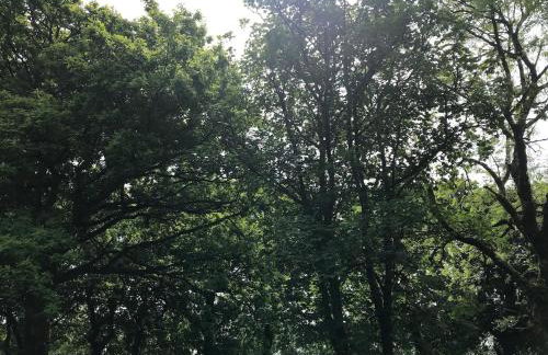 Lodge with log burner Contractors business private parking free Wi-Fi near M4 - Foto 70