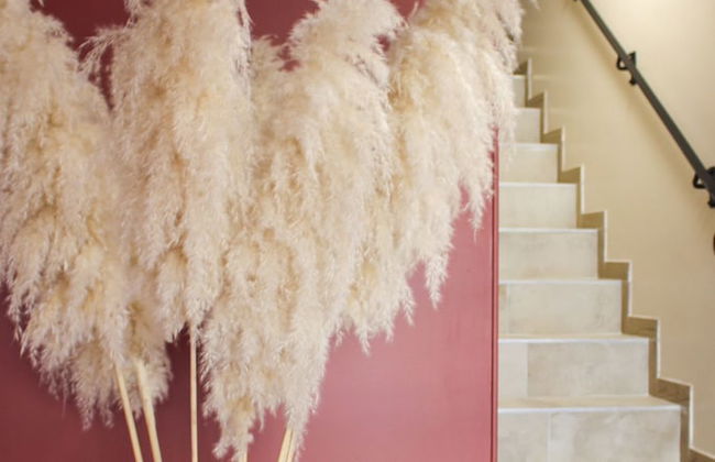 Résidence Le Vélodrome - Photo 2