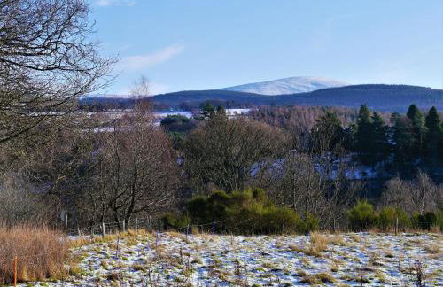 Laundry Cottage - Foto 10