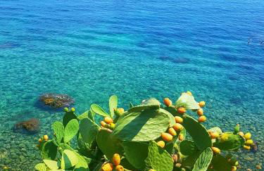 Apartment Inn - Foto 49