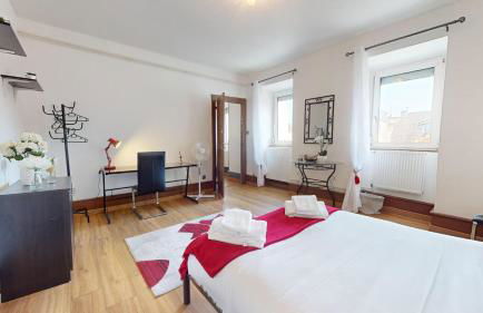 Les Cigognes d'Alsace - Photo 23