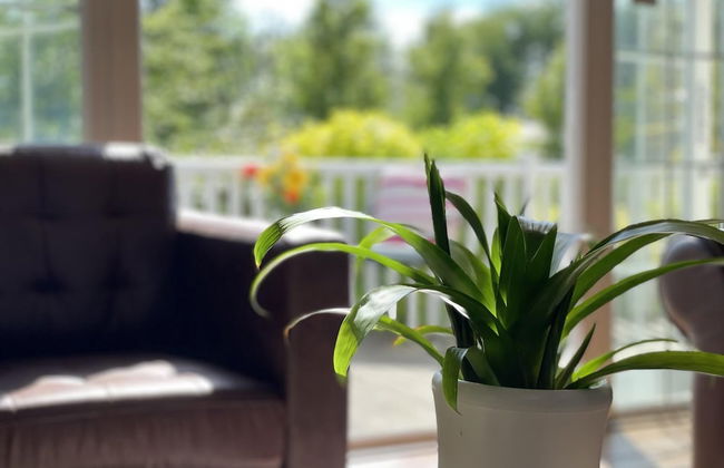 Holiday Lettings Beech Lodge - Stunning 6-bed King - Foto 22