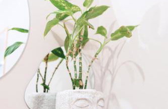 Apartament PREMIUM z ogródkiem - Foto 16