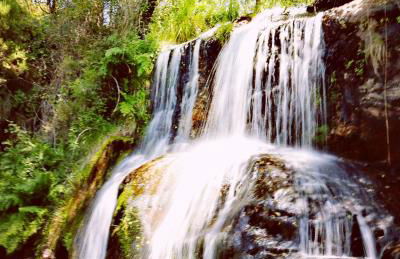 Quinta de Real - Foto 27