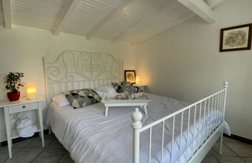 Apartment Asplanato - DOL163 by Interhome - Foto 12