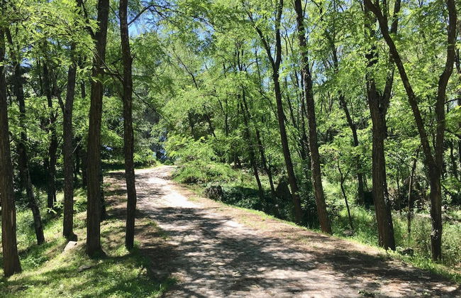 Estancia Grande - Foto 30