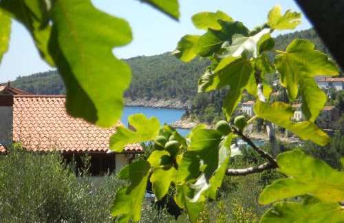 Apartments Ida Sveta Marina - Foto 1