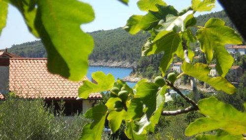 Apartments Ida Sveta Marina - Foto 1