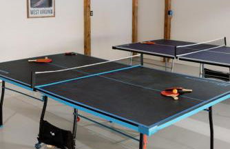 Creekside Fun Dog-friendly, Games & Fire Pit - Foto 32