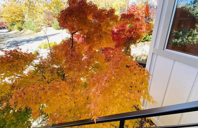 The Lilypad 2 Master Bedrooms Game Room - Foto 48