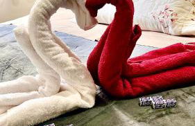 Casa confortável, excelente localização, 3 quartos e Suíte Queen - Photo 1