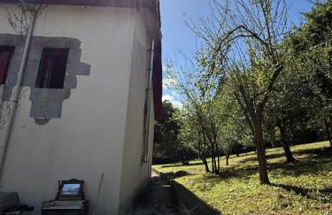 Caserío vasco de categoría - Foto 6