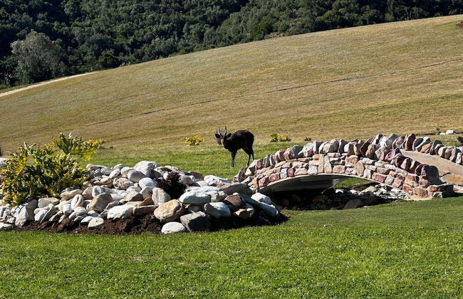 Amazing Riverside Retreat With Hot Tub & Ecopool - Foto 12