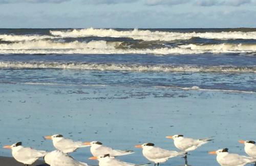 Spacious Home with Yard - half Mi to Ormond Beach! - Foto 30