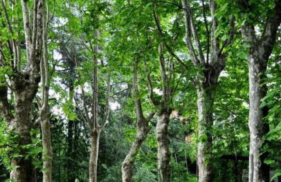 Residenza La Cascata - Foto 28