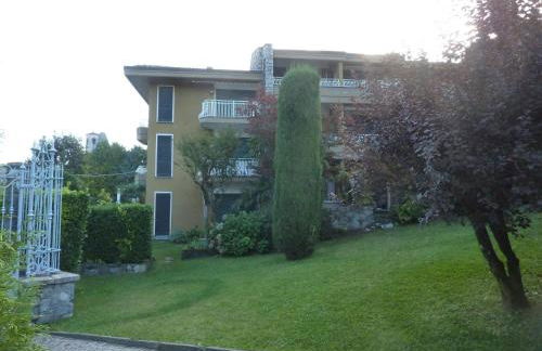 Hermitage mimosa - Photo 1