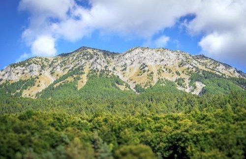 Cosy Et Lumineux À Montclar Alpes - Photo 17