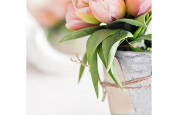 Il Rosciolo Sulla Francigena - Foto 64