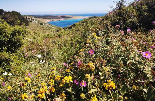 Villa Mios - Foto 73