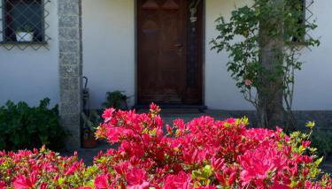 Le Bricolle - Foto 2, Garden view