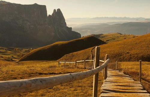 Mysciliar Apartment Tree I - Foto 11