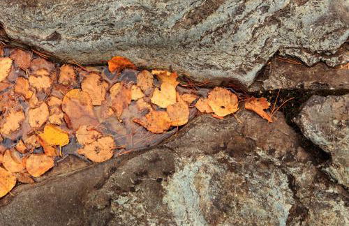 Saddle Ridge Townhome I-5 - Foto 40