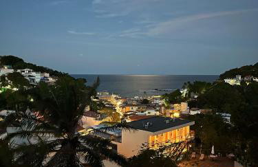 Céu do Morro - Foto 59