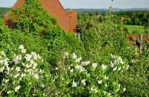 Ferienhaus Weitblick - Foto 15