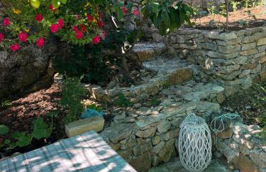 Apartments Despotović - Photo 25