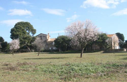 Le Gite de la Prunette - Foto 19