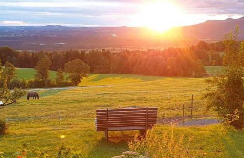 Hof Rossruck - Foto 4