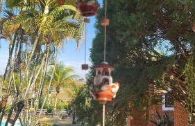 Pousada Terra Prometida - Foto 46