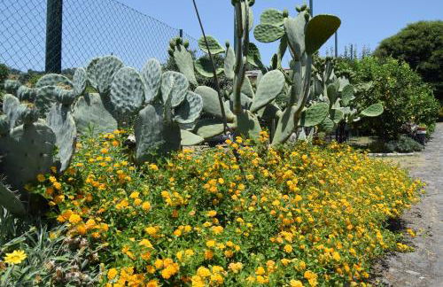 Le Case Di Bacco - Foto 66